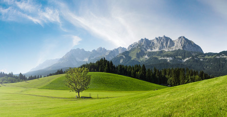 Sommer in den österreichischen Bergen - Wilder Kaiser, Tirol, Austria    