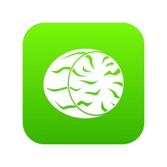 Half of nutmeg icon digital green