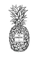 Fashion illustration sketchy style pineapple.Digital vector detailed line art hand drawn retro fruit.Vintage ink flat style, engraved simple doodle sketches. Trendy poster for textile, fabric, web