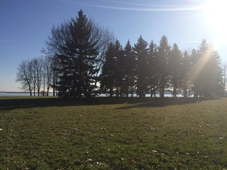 Obraz premium Nature