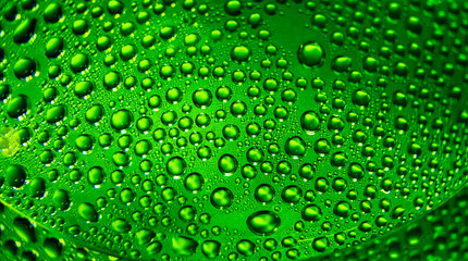 Капли воды крупным планом макро зеленый