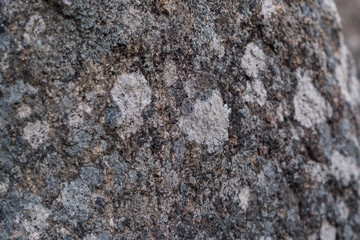 Stone Texture graphics resource background wallpaper granito
