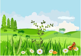 Vector illustration of spring green meadow and hills, flowers, grass and butterflies in pretty landscape