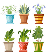 Indoor and outdoor landscape garden potted plants. Vector set of green plant in pot, illustration of flowerpot bloom. Vector illustration isolated on white background. Web site page and mobile app