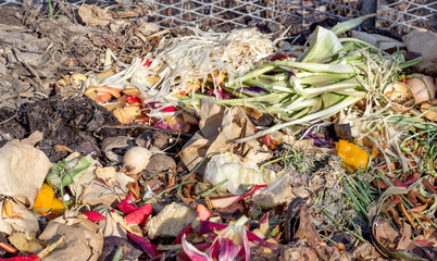 colorful compost pile / Compost heaps with garden waste and kitchen waste such as vegetable peel, fruit bowls, flowers, coffee filters and eggshells 