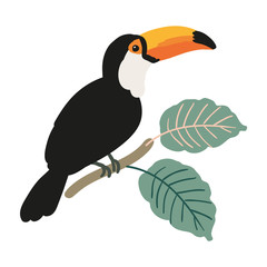 Toucan and palm leaves on the white background. Vector digital illustration. Tropical bird and plant. Exotic nature. Design print for the poster, card, pillow.