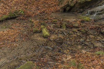 Pulcinsky creek in spring nice morning