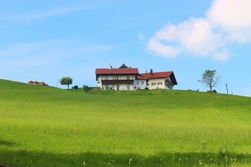 Idyllic countryside in Bavaria, Germany, Europe. Mountain pasture, house and cattle. Near Ainring, Berchtesgadener Land. 