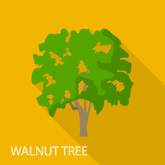 Walnut tree icon, flat style