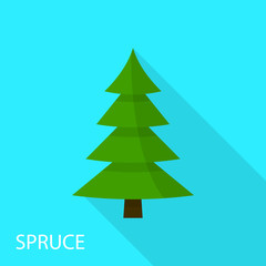 Spruce icon, flat style