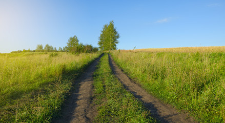 Fototapeta na wymiar Sunny summer landscape with ground country road.
