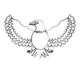 american eagle bird freedom national symbol vector illustration sketch
