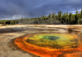 CHROMATIC POOL YELLOWSTONE