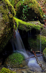 Mountain spring water flows among the mossy stones. Little waterfall.