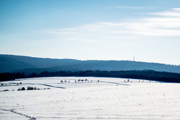 Ausblick Winter