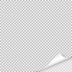 Page curl with shadow on blank sheet of paper.