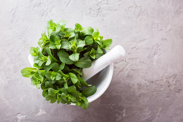 fresh mint in a white mortar on a gray background