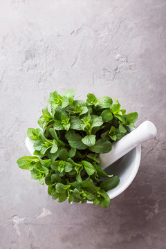 fresh mint in a white mortar on a gray background