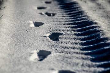 Fußstapfen winter