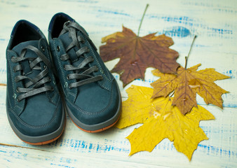 Obraz na płótnie Canvas autumn nubuck shoes for boy