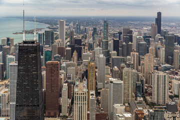 Concrete Jungle 