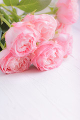 Pink roses over white background. Copy space. The concept of wedding and Valentines day.