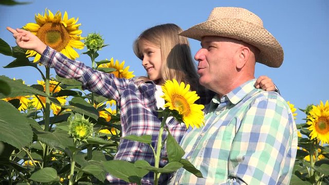 Farmers in Sunflower Field, Father and Child Outdoor in Agriculture Culture 4K