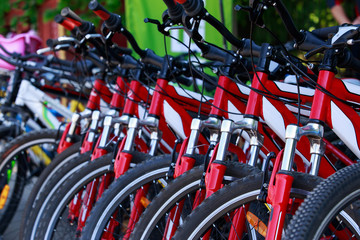 many bicycles stand in a row