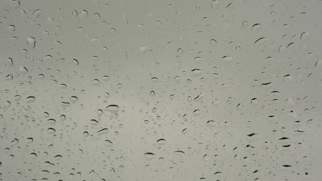 wassertropfen regen