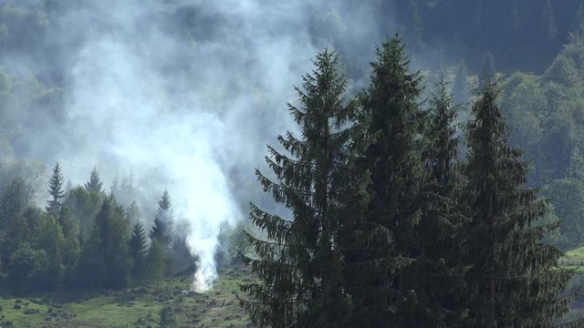 4K Smoke Fire in Mountains Forest, Fume in Alpine Woods View, Nature in Danger