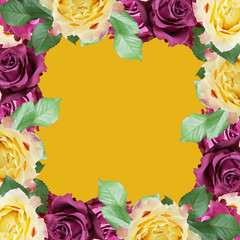 Beautiful floral background of roses. Isolated 