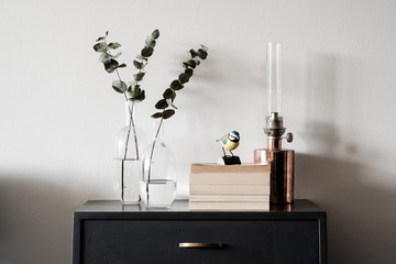 plant in living room