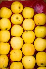 pomme