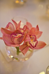 Orchid arrangement for wedding
