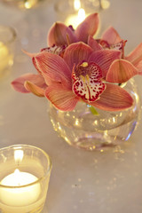 Obraz na płótnie Canvas Orchid arrangement for wedding