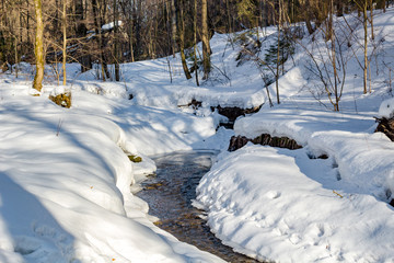 Spring forest stream in March afternoon
