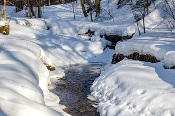 Spring forest stream in March afternoon
