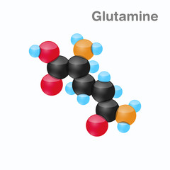 Molecule of Glutamine, Gln, an amino acid used in the biosynthesis of proteins