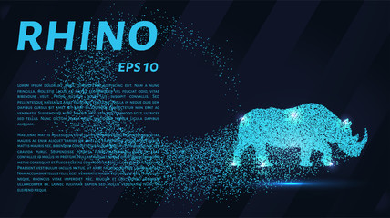Rhino of the particles. Rhino consists of small circles