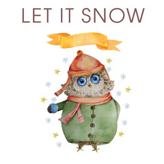 Watercolor owl Winter Owl Aquarelle Bird