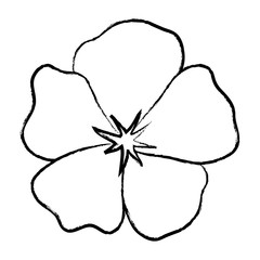 sketch of tropical flower icon over white background, vector illustration