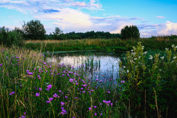 landscape with a pond and flowers