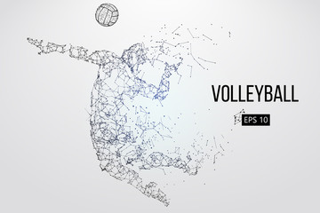 Fototapeta na wymiar Silhouette of volleyball player. Vector illustration.