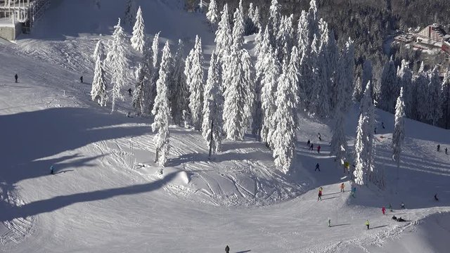 People Learning Ski in Mountains Winter Sports View Tourists Skiing in Alps 4K