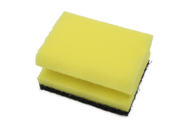 sponge isolated in white background