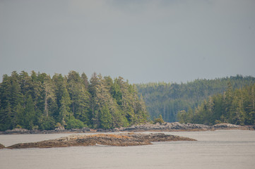 Kleine Bewaldete Inseln, steinige Insel im Vordergrund. Die Inside Passage in Westkanada,tr&uuml;bes Regenwetter, leichter Nebel