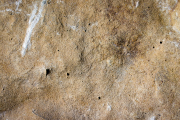 sandstone background with a clearly defined texture and relief