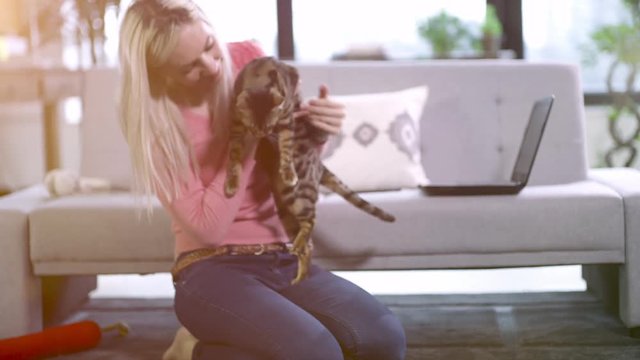Woman working from home with pet cat