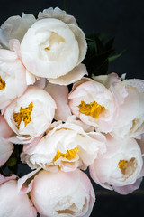 Fototapeta na wymiar Beautiful bouquet of white Chinese peonies with Water Drops