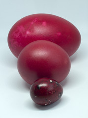 Theme Easter. Three painted eggs in red - from quail, hen and duck.